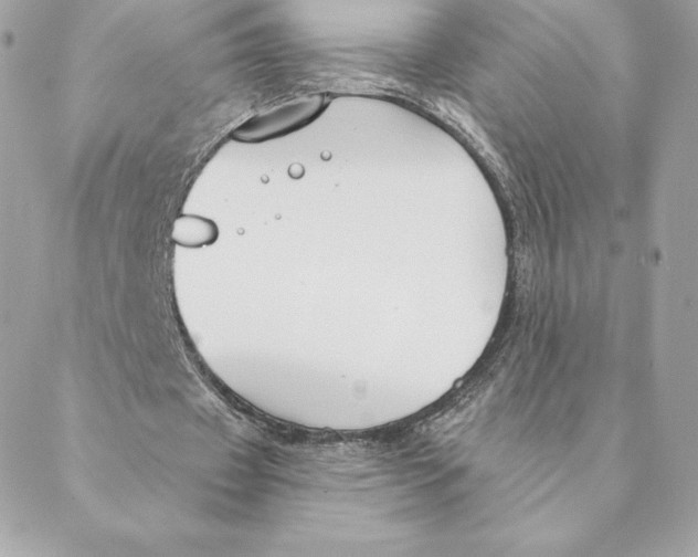 X0000088570433200706151650