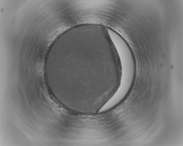 X0000088570434200706151650