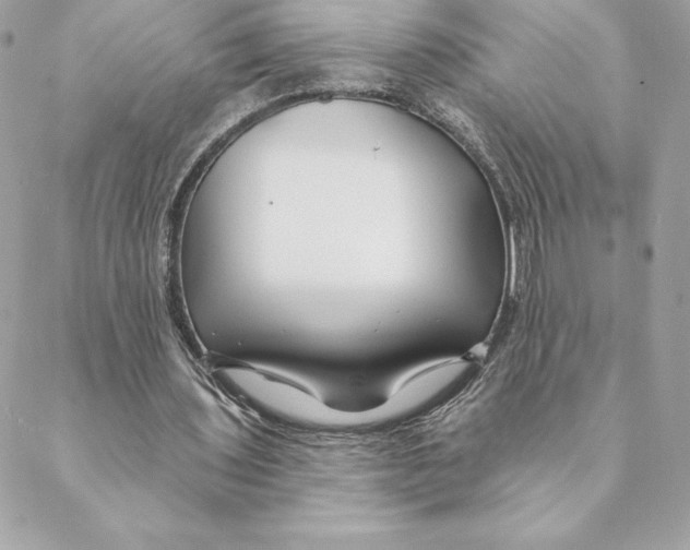 X0000088570435200706151650