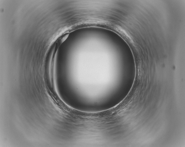 X0000088570436200706151650