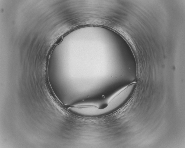 X0000088570437200706151650