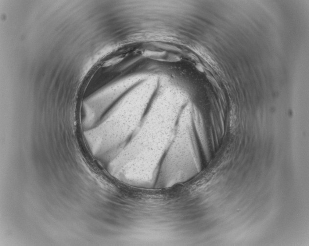 X0000088570438200706151650