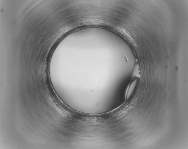 X0000088570439200706151650