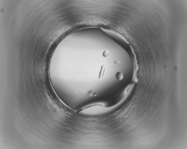 X0000088570440200706151650