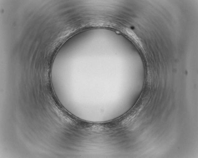 X0000088570441200706151650