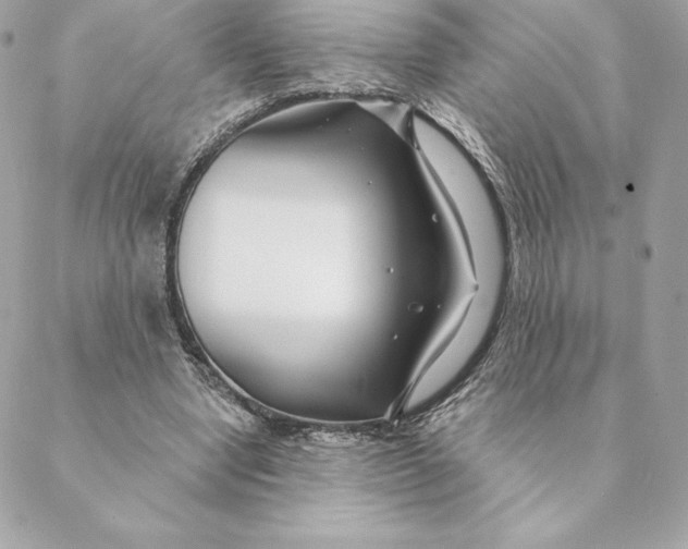 X0000088570442200706151650