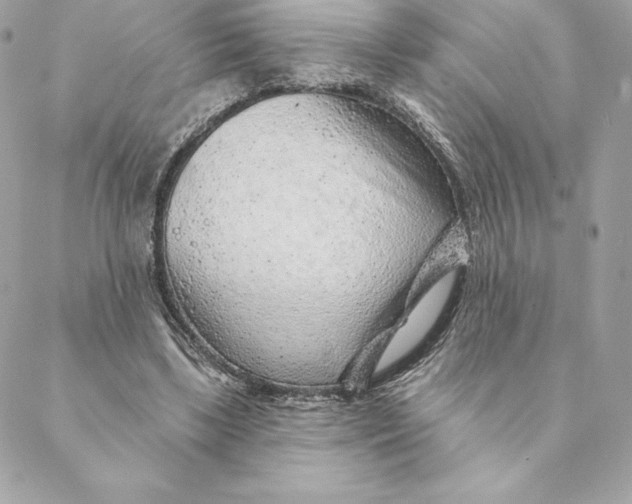 X0000088570443200706151650