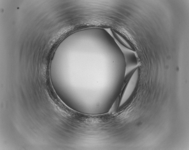 X0000088570444200706151650