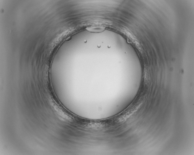 X0000088570445200706151650