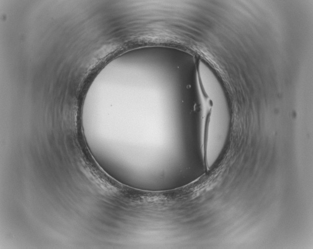 X0000088570446200706151650