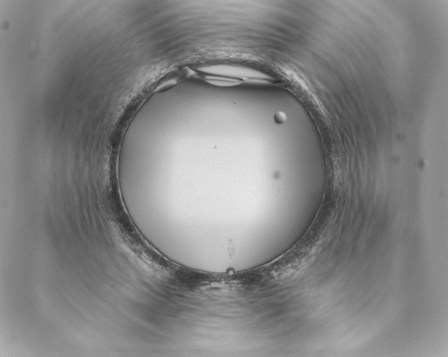 X0000088570447200706151650