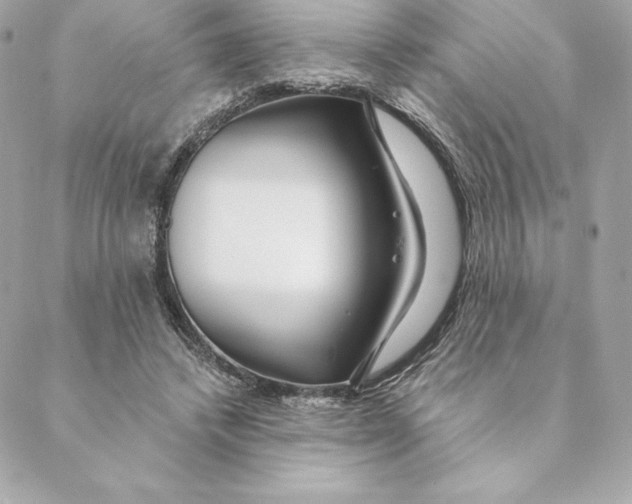 X0000088570448200706151650