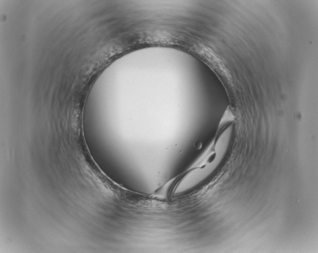 X0000088570449200706151650