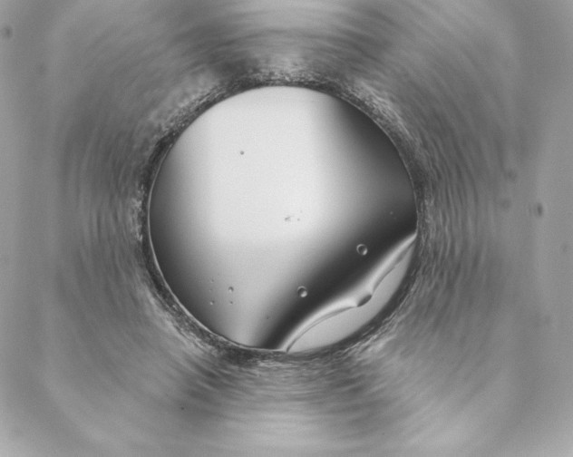 X0000088570450200706151650