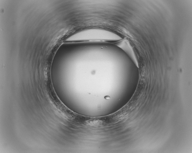 X0000088570452200706151650