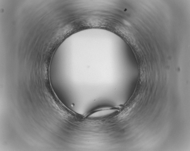 X0000088570453200706151650