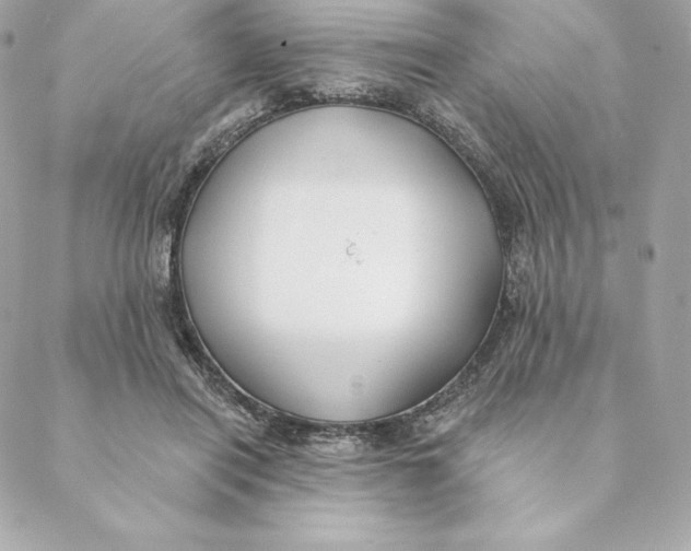 X0000088570454200706151650