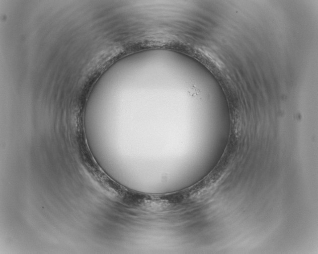 X0000088570455200706151651