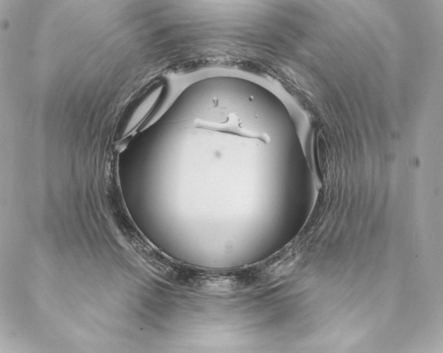 X0000088570456200706151651