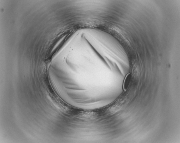 X0000088570459200706151651