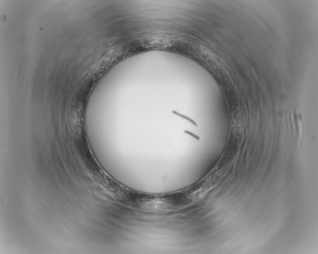 X0000088570460200706151651