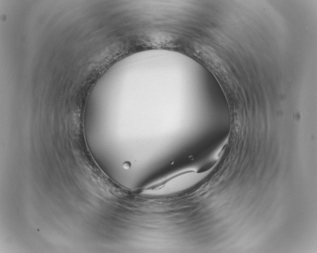 X0000088570461200706151651