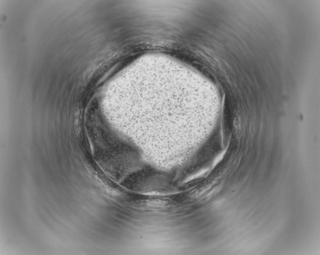 X0000088570462200706151651