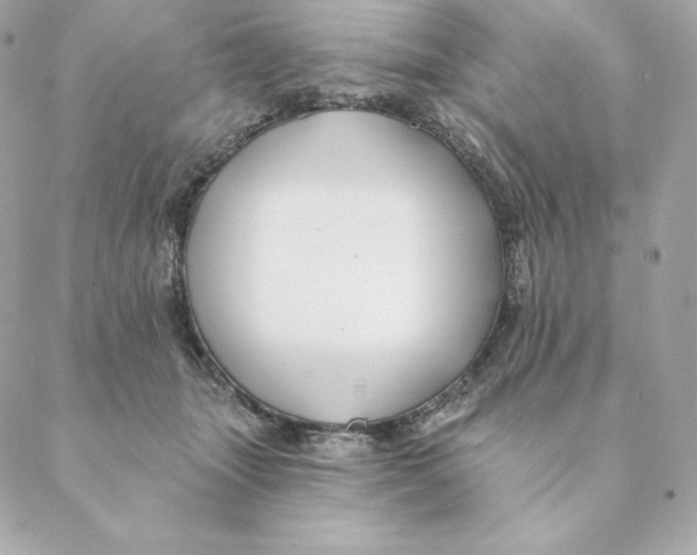 X0000088570463200706151651