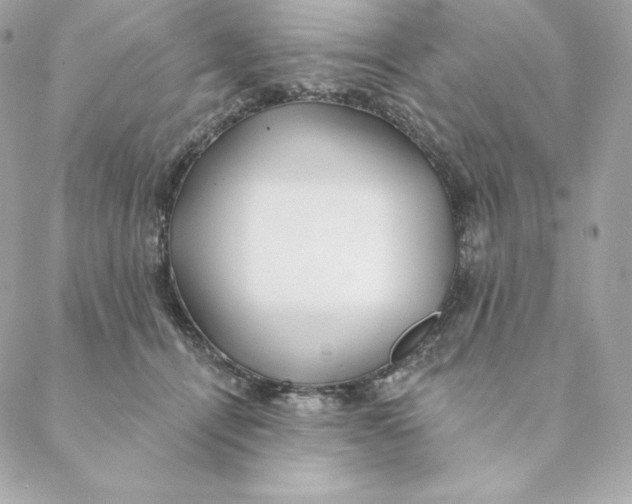 X0000088570464200706151651