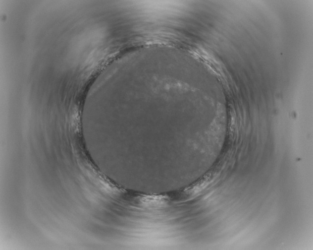 X0000088570465200706151651