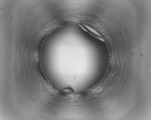 X0000088570466200706151651