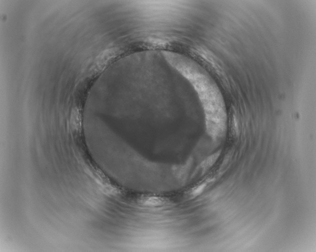 X0000088570467200706151651