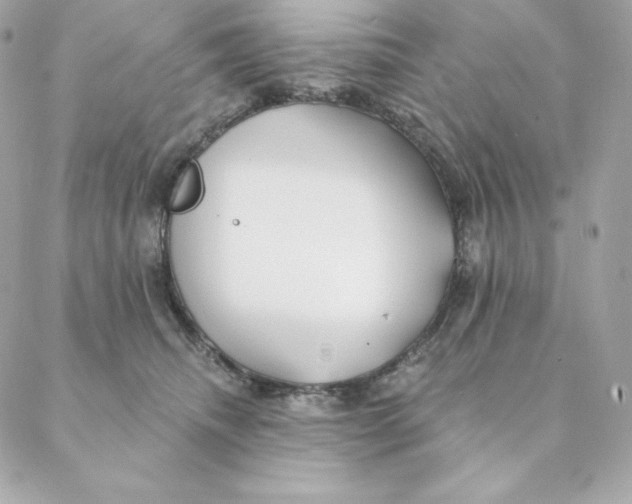 X0000088570468200706151651