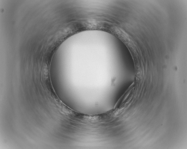 X0000088570469200706151651