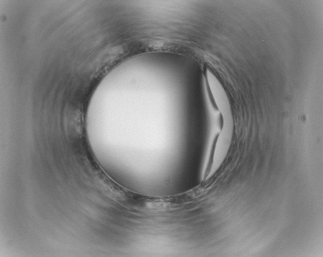 X0000088570470200706151651