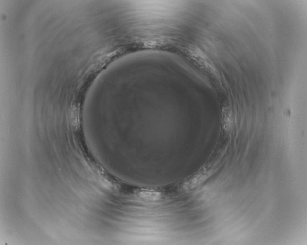 X0000088570471200706151651