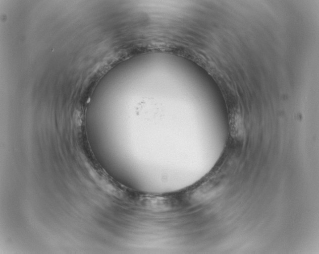 X0000088570472200706151651