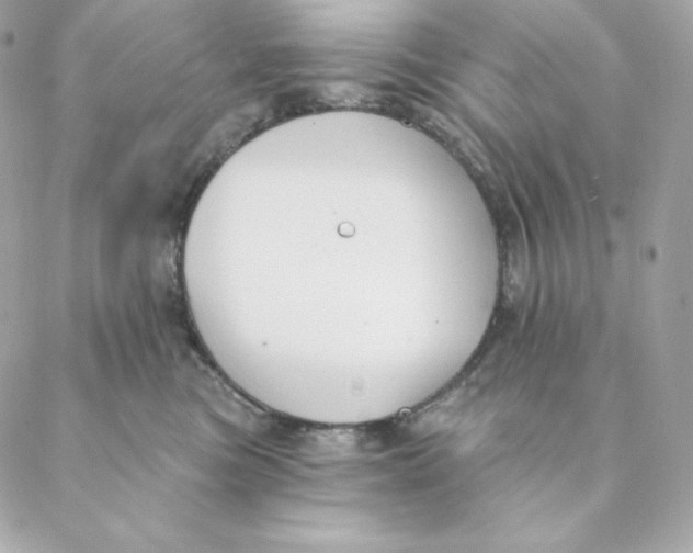 X0000088570473200706151651