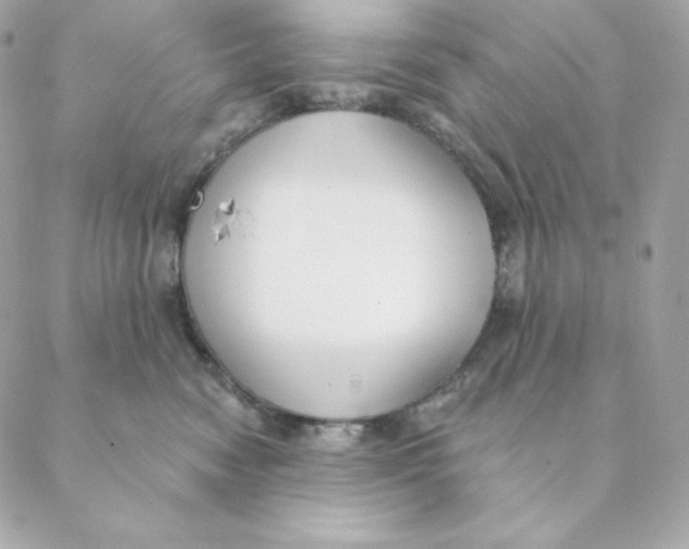 X0000088570474200706151651