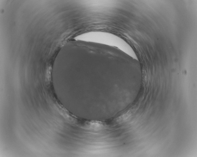 X0000088570475200706151651