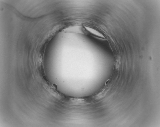 X0000088570476200706151651