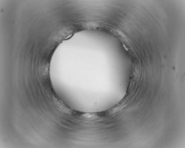 X0000088570477200706151651