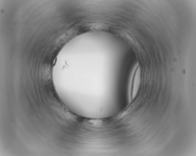 X0000088570478200706151651