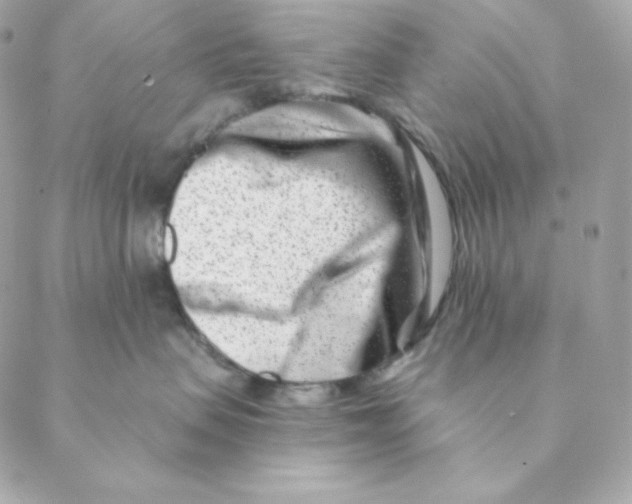 X0000088570479200706151651