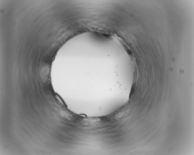 X0000088570480200706151651