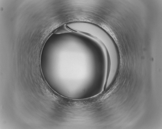 X0000088570481200706151650