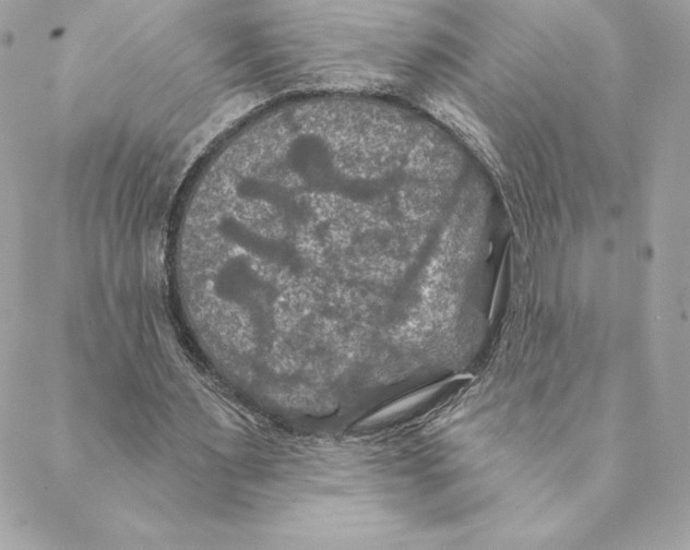 X0000088570483200706151650