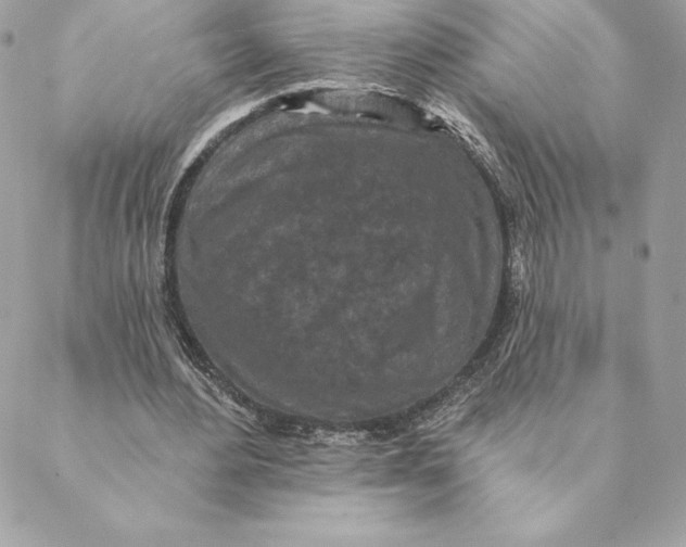 X0000088570484200706151650