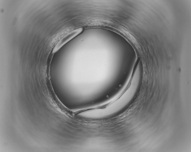 X0000088570485200706151650