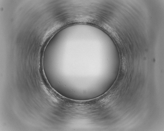 X0000088570486200706151650